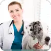 How Long Does It Take To Be A Veterinarian
