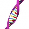 How Long Does DNA Testing Take