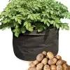 How Long Does It Take To Grow Potatoes