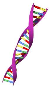 How Long Does DNA Testing Take